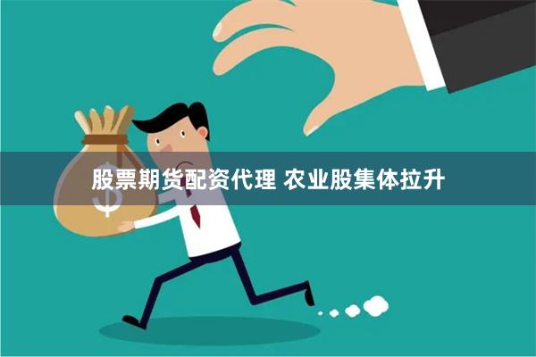 股票期货配资代理 农业股集体拉升
