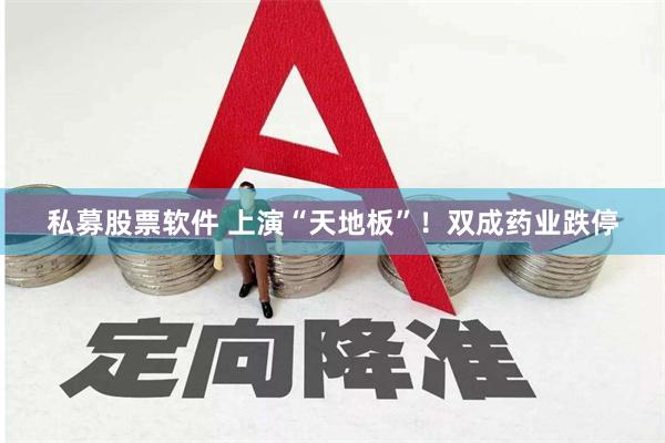 私募股票软件 上演“天地板”！双成药业跌停