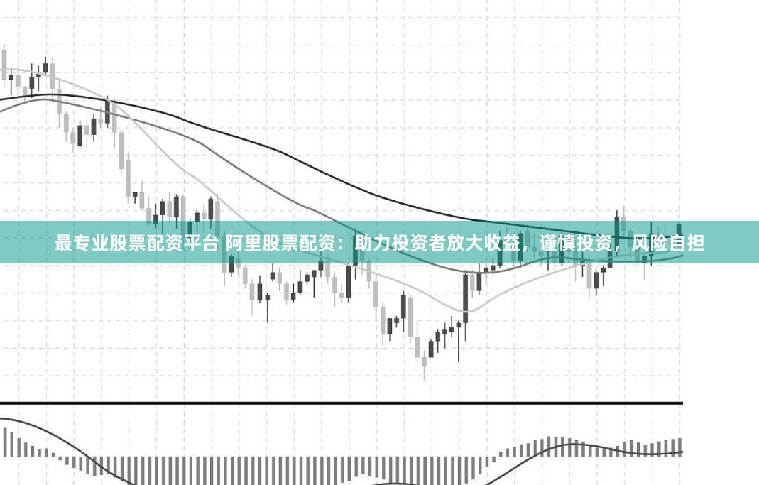 最专业股票配资平台 阿里股票配资：助力投资者放大收益，谨慎投资，风险自担
