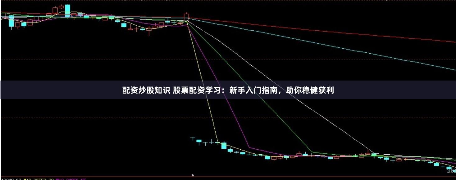 配资炒股知识 股票配资学习：新手入门指南，助你稳健获利