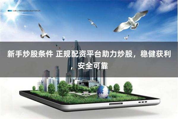 新手炒股条件 正规配资平台助力炒股，稳健获利，安全可靠