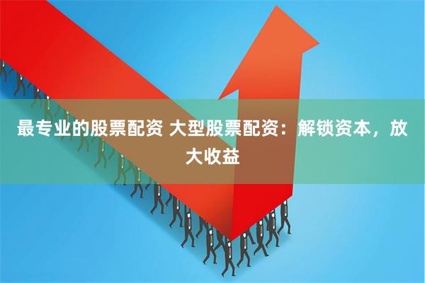 最专业的股票配资 大型股票配资：解锁资本，放大收益